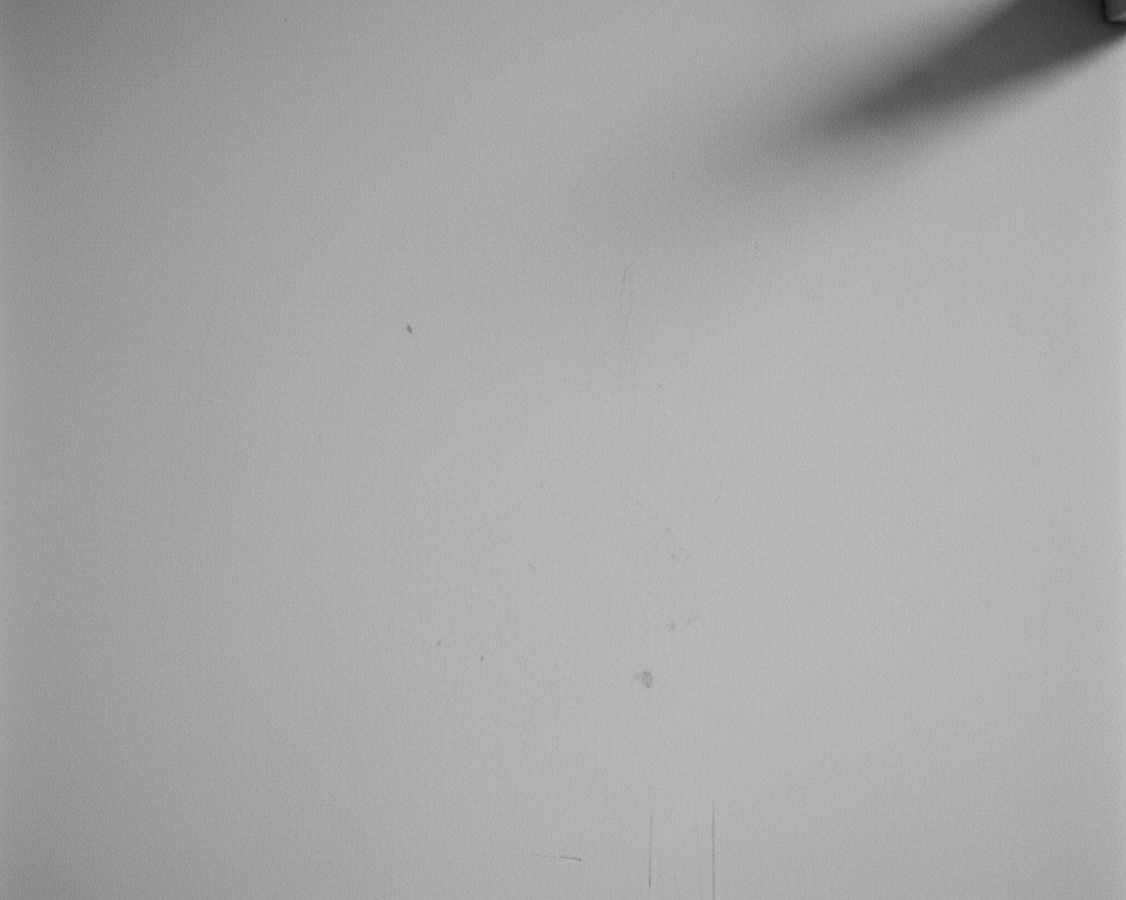 モノクロ、空白